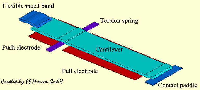 Electrostatic and structural components of the Microswitch